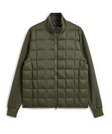 color_D.OLIVE