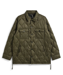 color_D.OLIVE