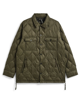 color_D.OLIVE