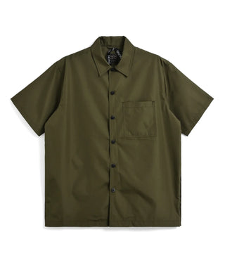 color_DARK OLIVE